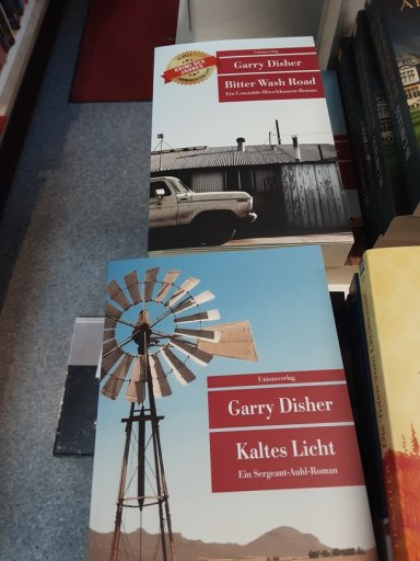 buchbeutel.de_buchtipp_20210805__garry_disher__kaltes_licht.jpg